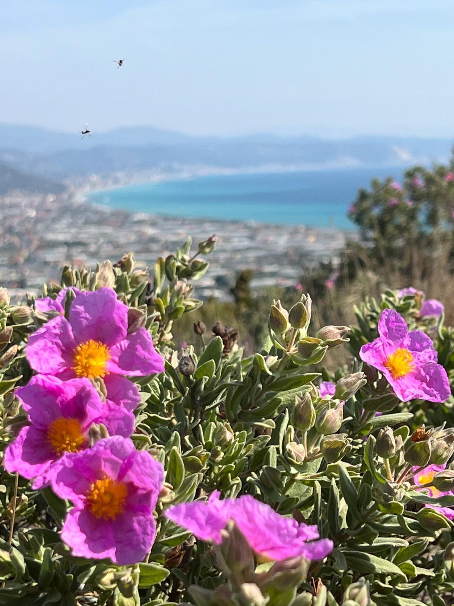 אלבניה Le Torri Riviera Holiday מראה חיצוני תמונה